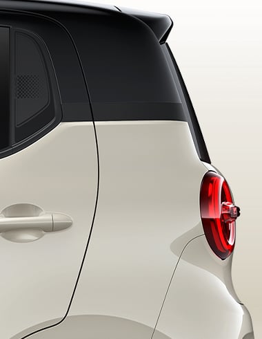 2 Tone Body Color
